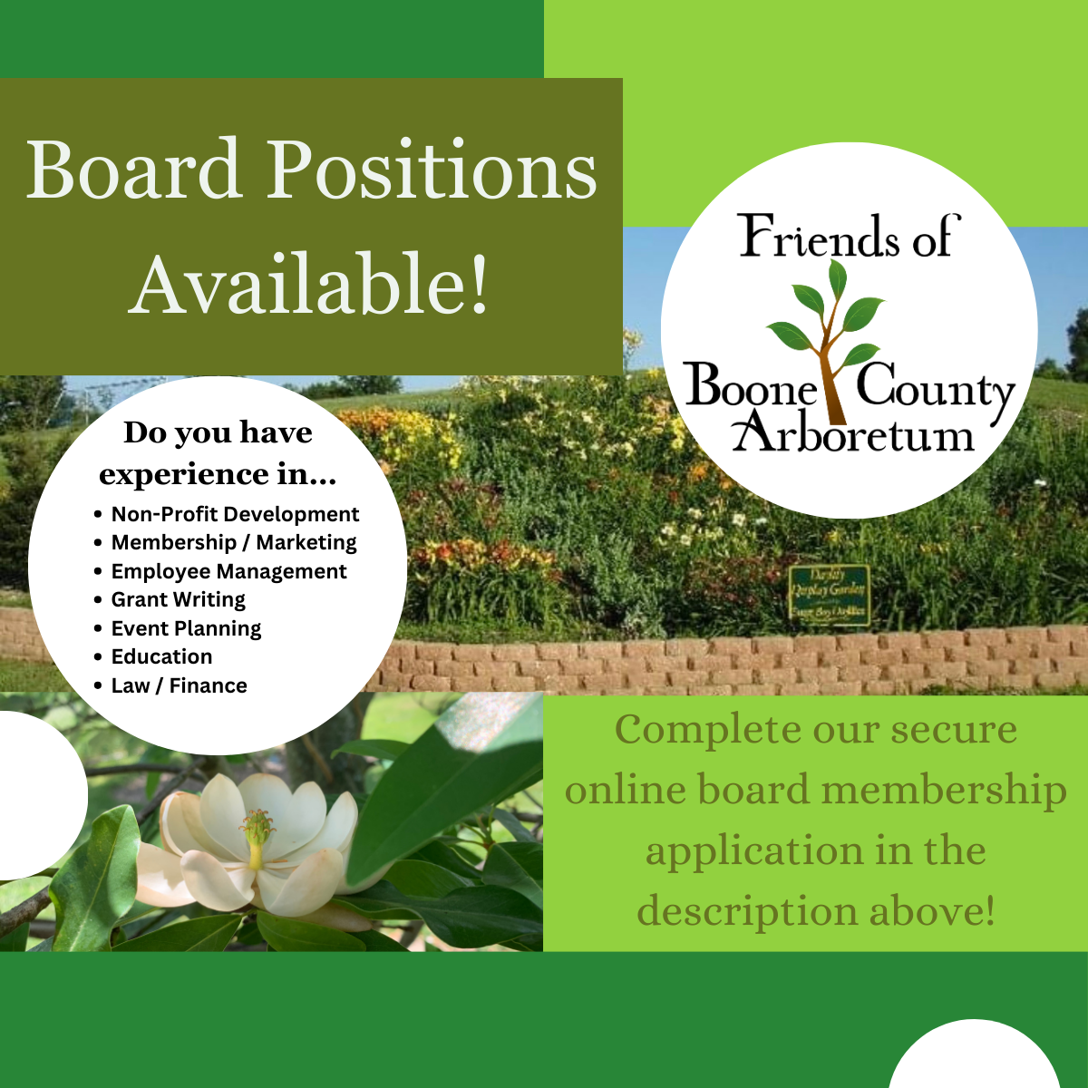 Board Application Flyer Board Application Flyer
